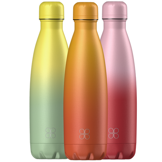 Ombre Series Stainless Steel Water Bottle Set